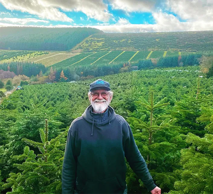 Irish Christmas Tree Fields