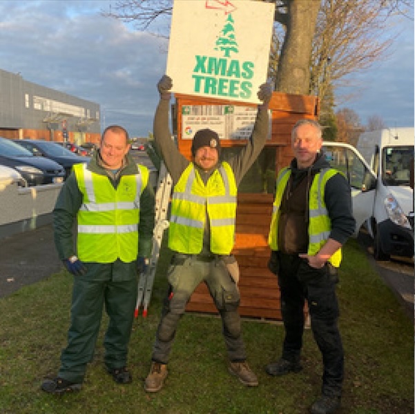 Irish Christmas Trees