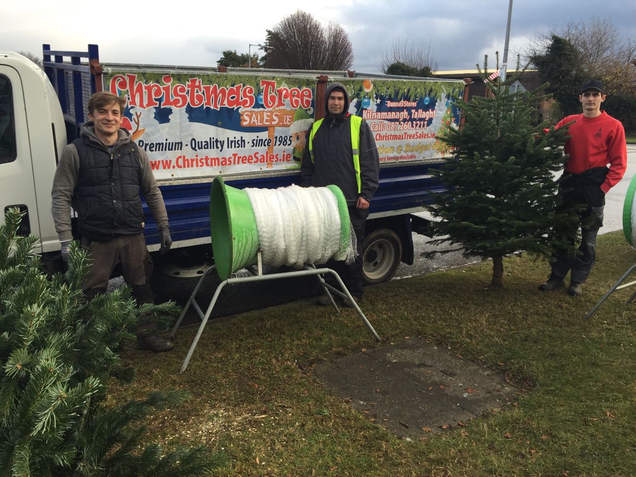 Irish Christmas Trees