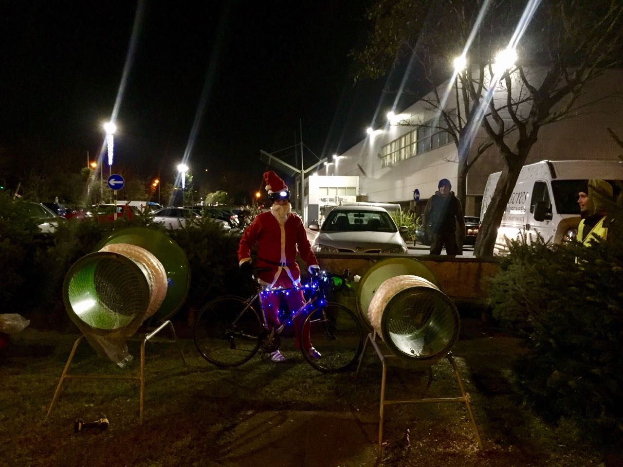 Irish Christmas Trees