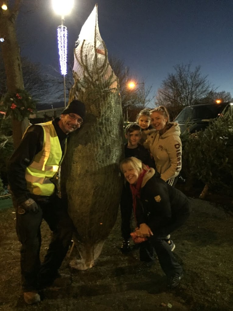 Irish Christmas Trees