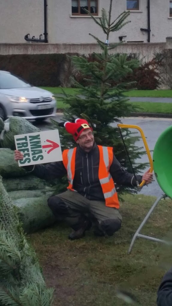 Irish Christmas Trees