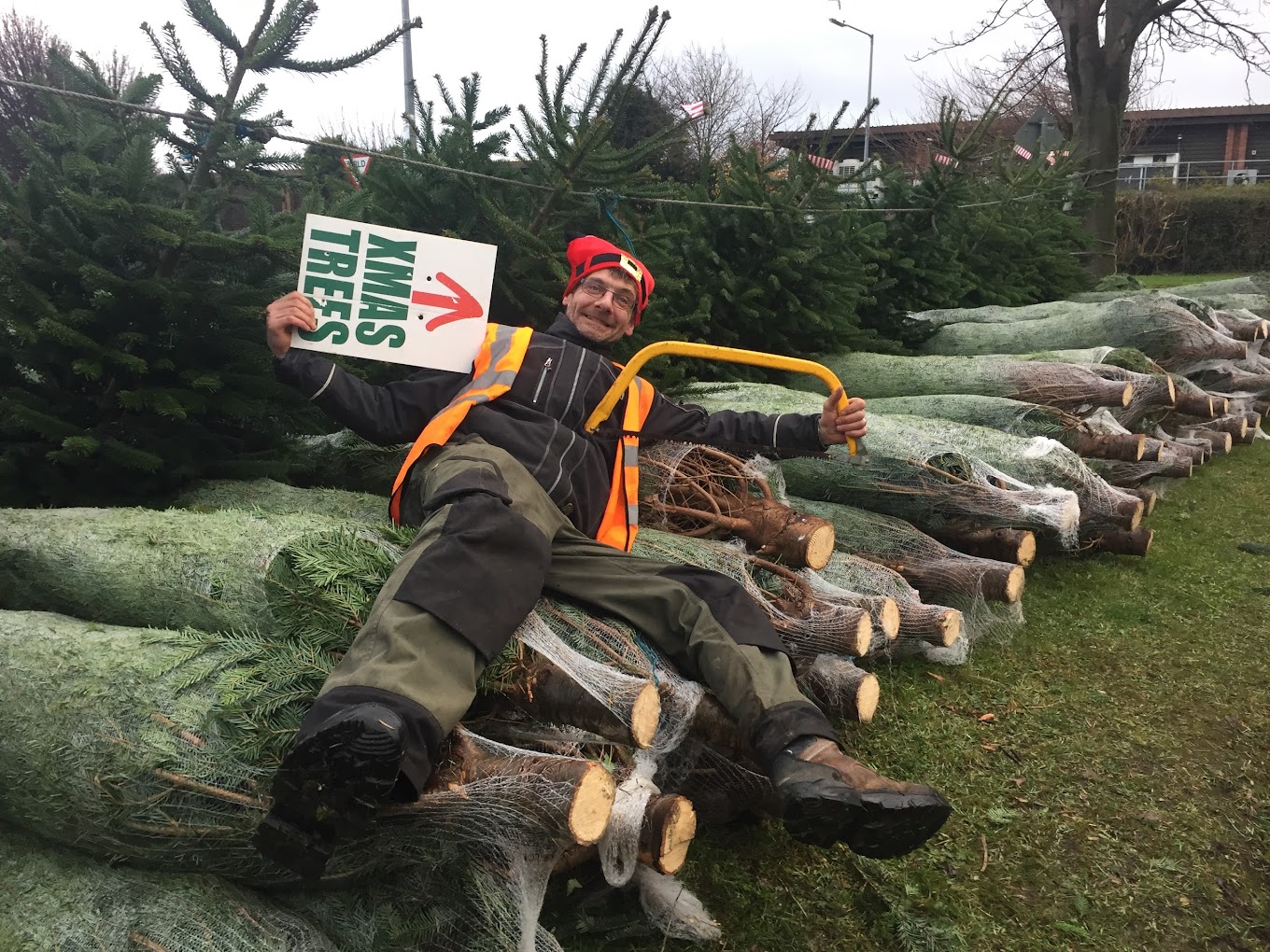 Irish Christmas Trees